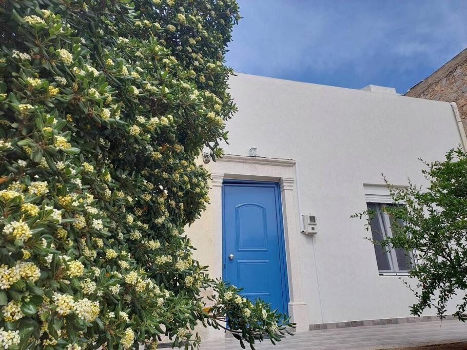 Lion'S House Villa Kalymnos Town Luaran gambar